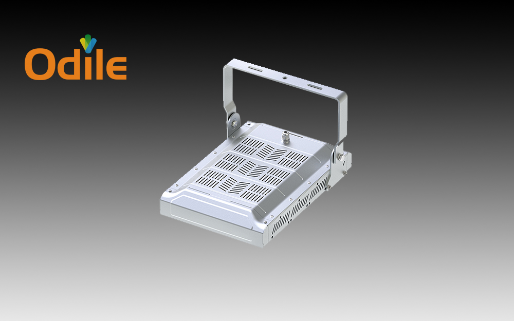 FL LED Floodlight