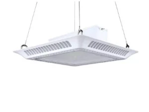 LED Canopy Light
