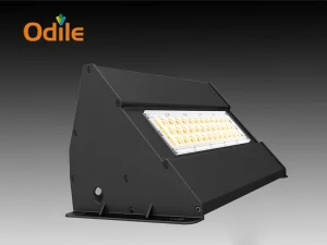 LED Wall Pack